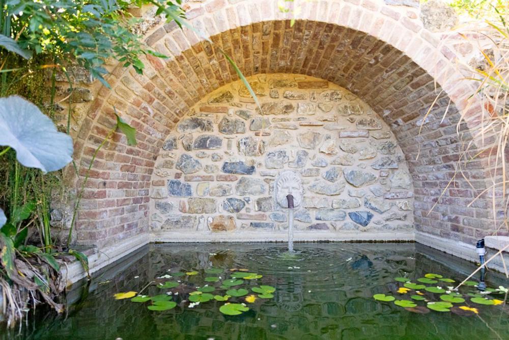 Villa Privata Con Piscina A Riparbella Castellina Marittima Ngoại thất bức ảnh