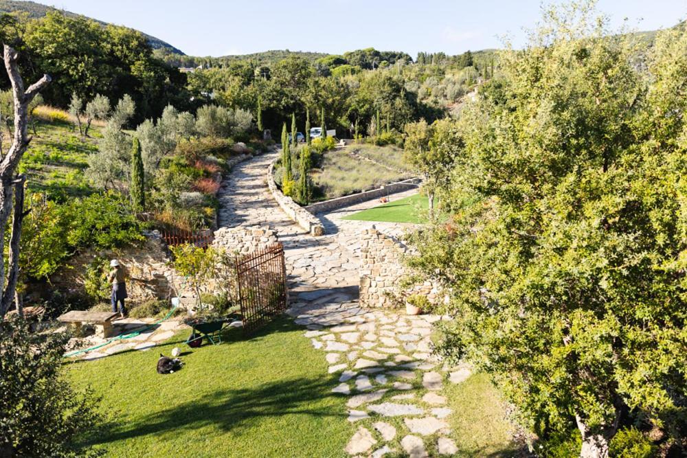 Villa Privata Con Piscina A Riparbella Castellina Marittima Ngoại thất bức ảnh